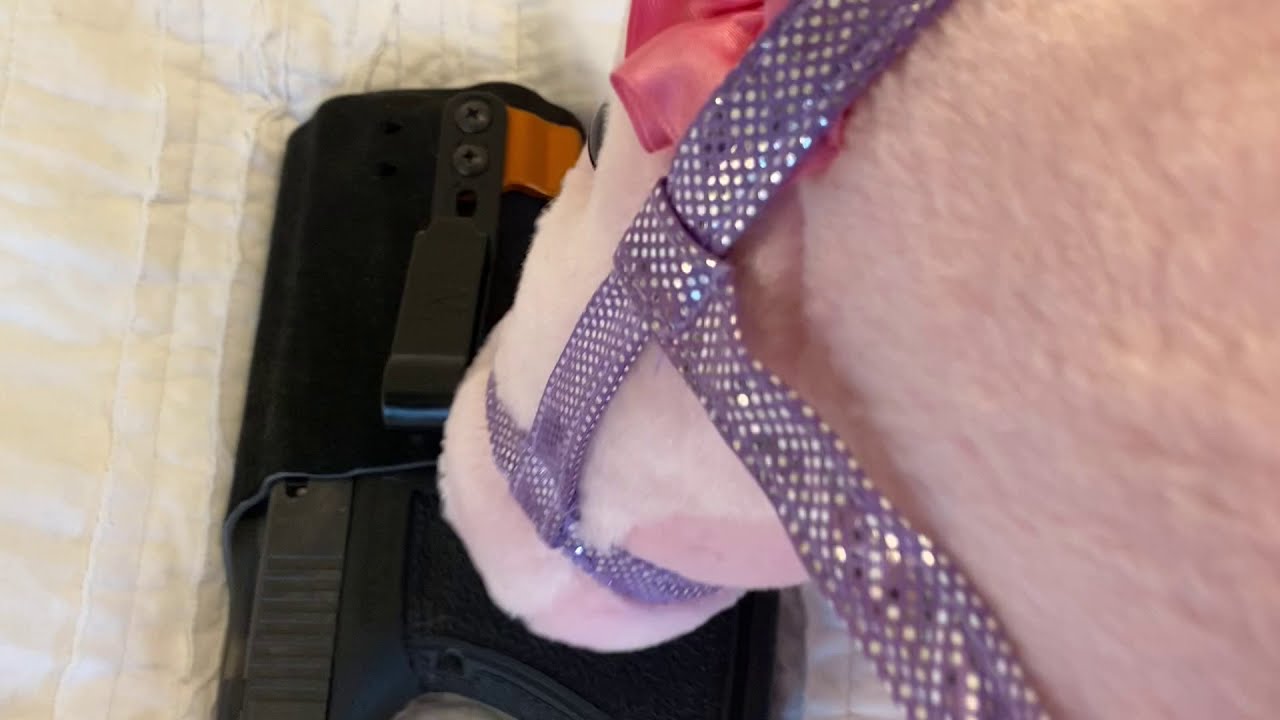 THE WORST HALEY STRATEGIC IWB HOLSTER REVIEW OF ALL TIME