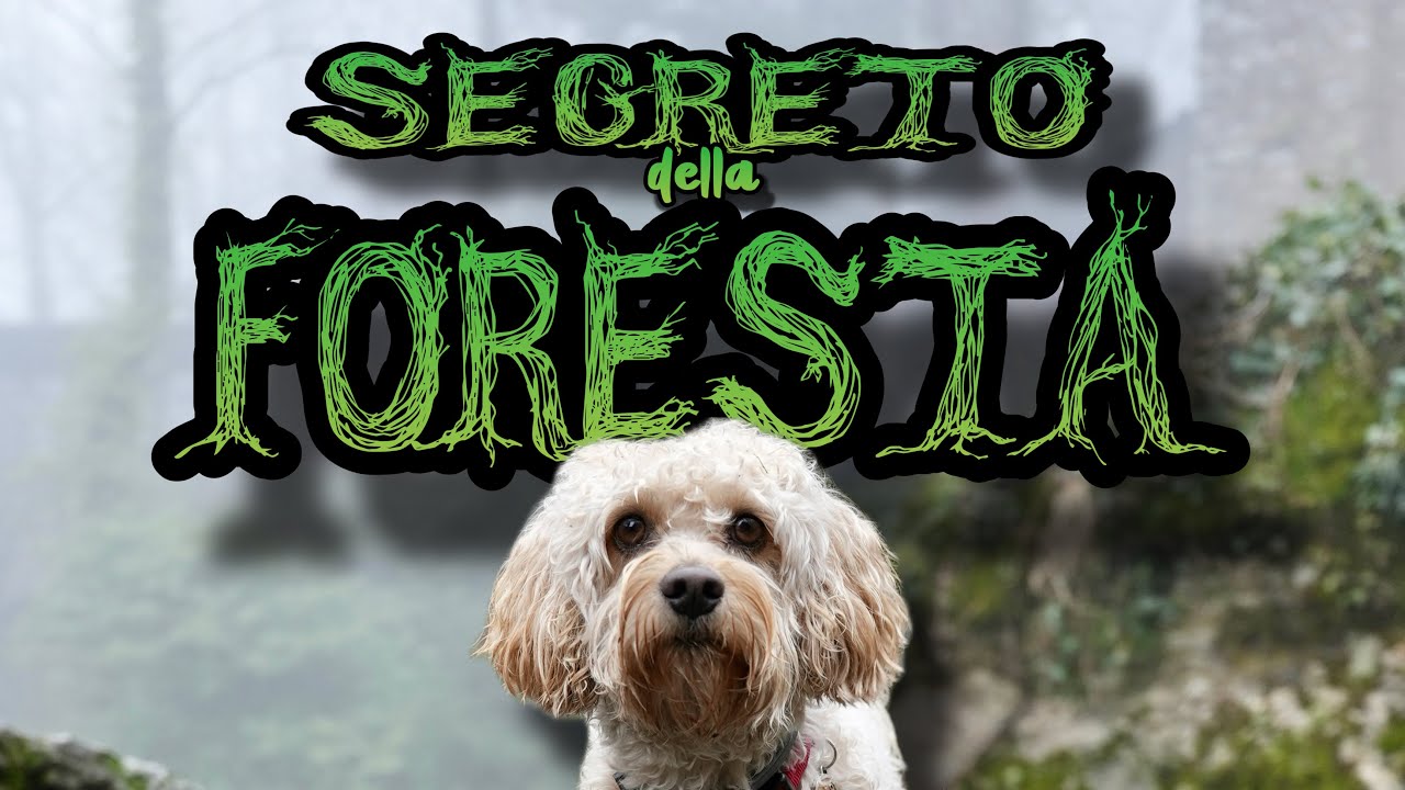 CHICO GIANGOL - I Segreti del Casentino