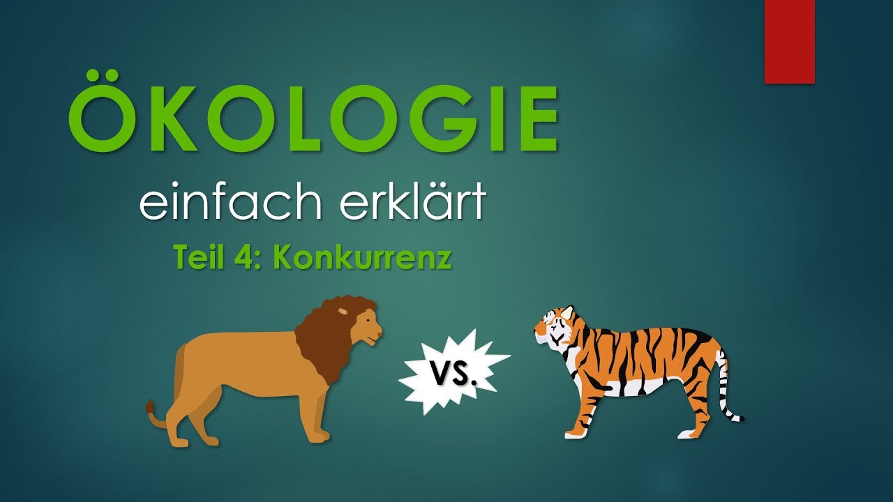 4. Konkurrenz | ÖKOLOGIE einfach erklärt