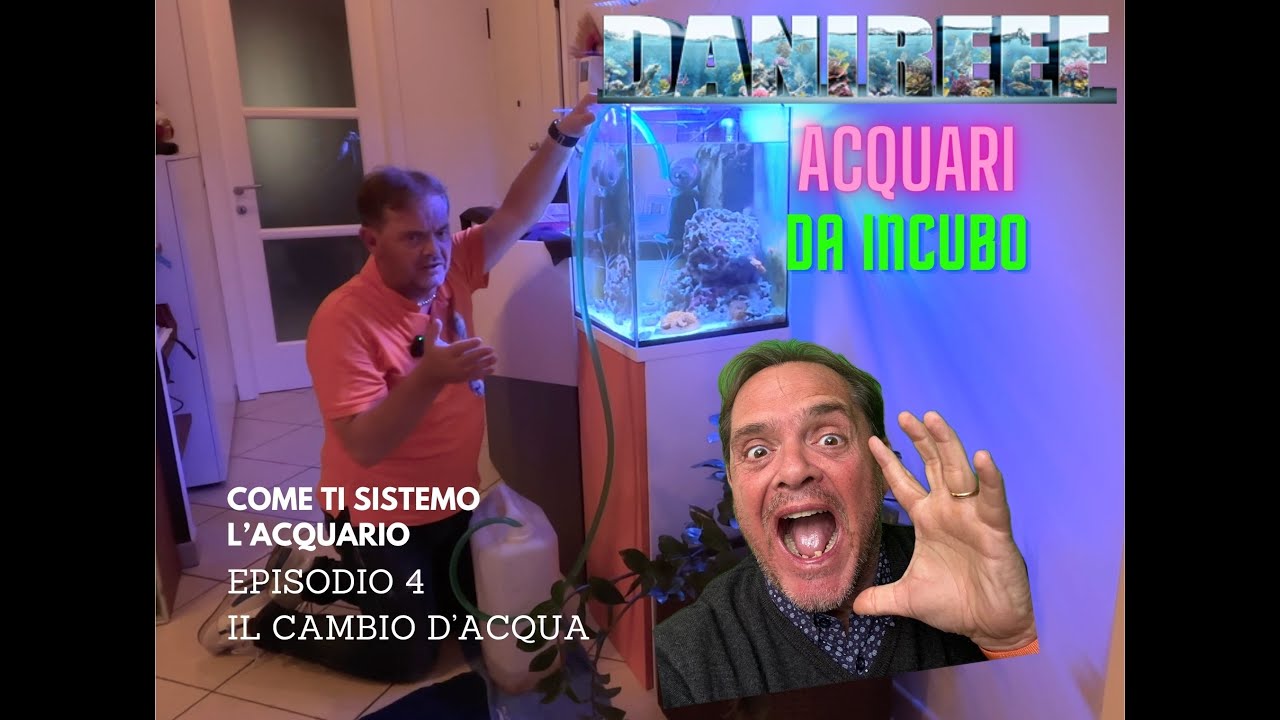 ACQUARI DA INCUBO:  L'importanza del cambio d'acqua in acquario marino - episodio IV