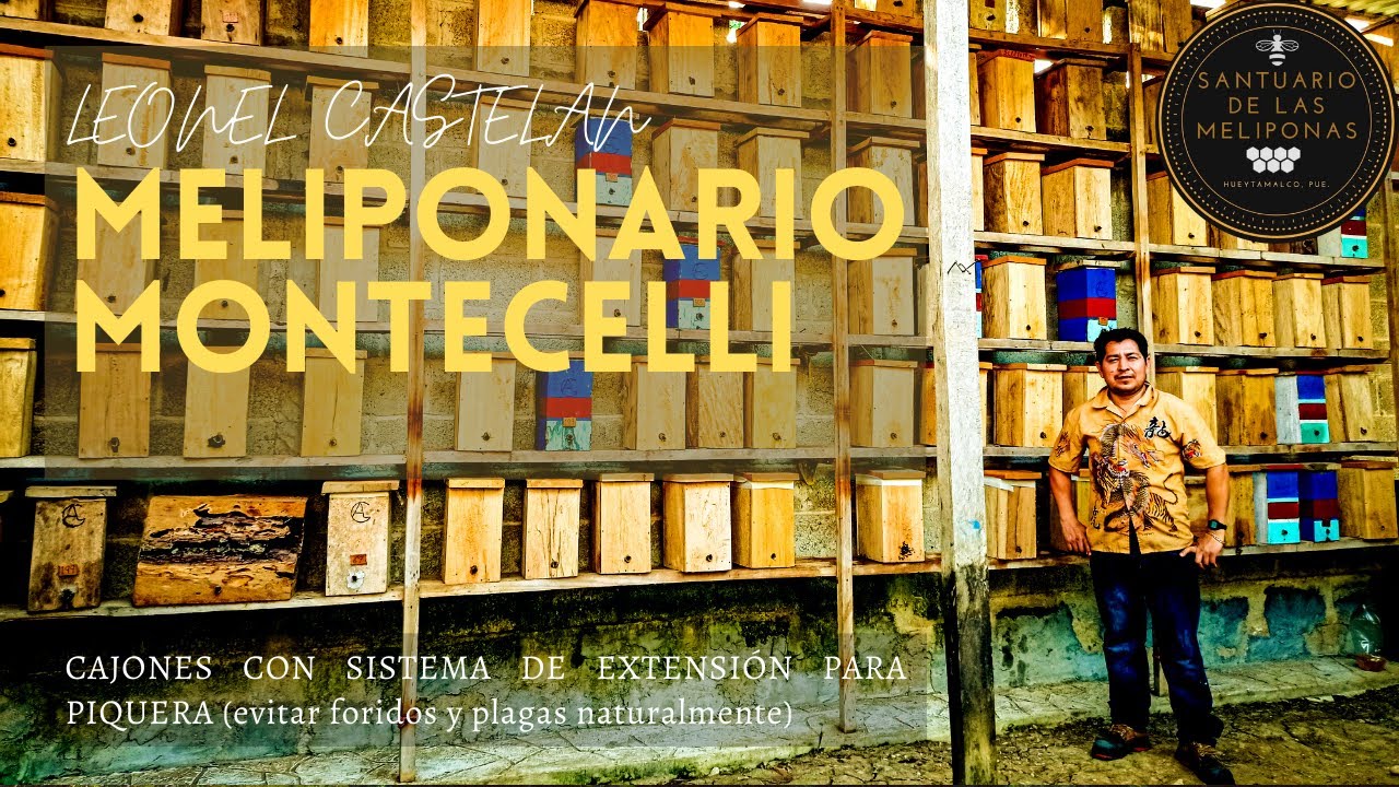 Leonel  parte 1 técnicas de meliponario montecelli piqueras extendidas