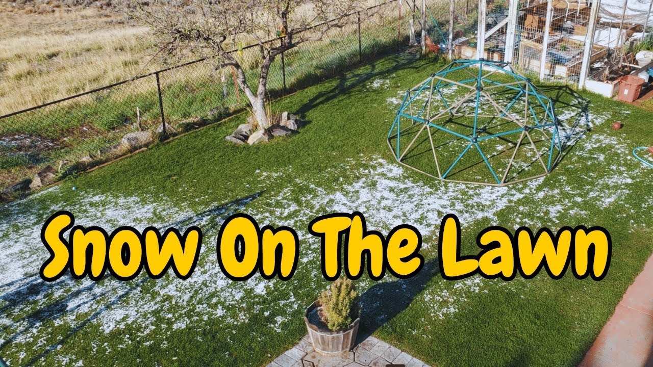 Is Snow on Green Grass a Bad or Good Thing?