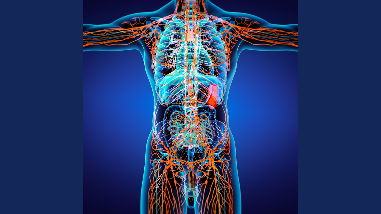 Frecuencia 396 Hz Liberación de culpa y miedos, despertar y volver al presente / Frequency 396...