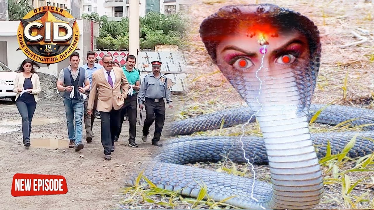 CID Officer Purvi कैसे बनी इच्छाधारी नागिन ? Crime Story | CID Latest Episode 2025 | सी.आई.डी.