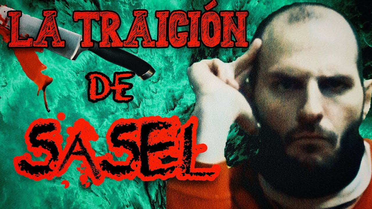 👩🏻‍🦲 SASEL EL TRAIDOR ES TODO UN PERDEDOR 👎🏼