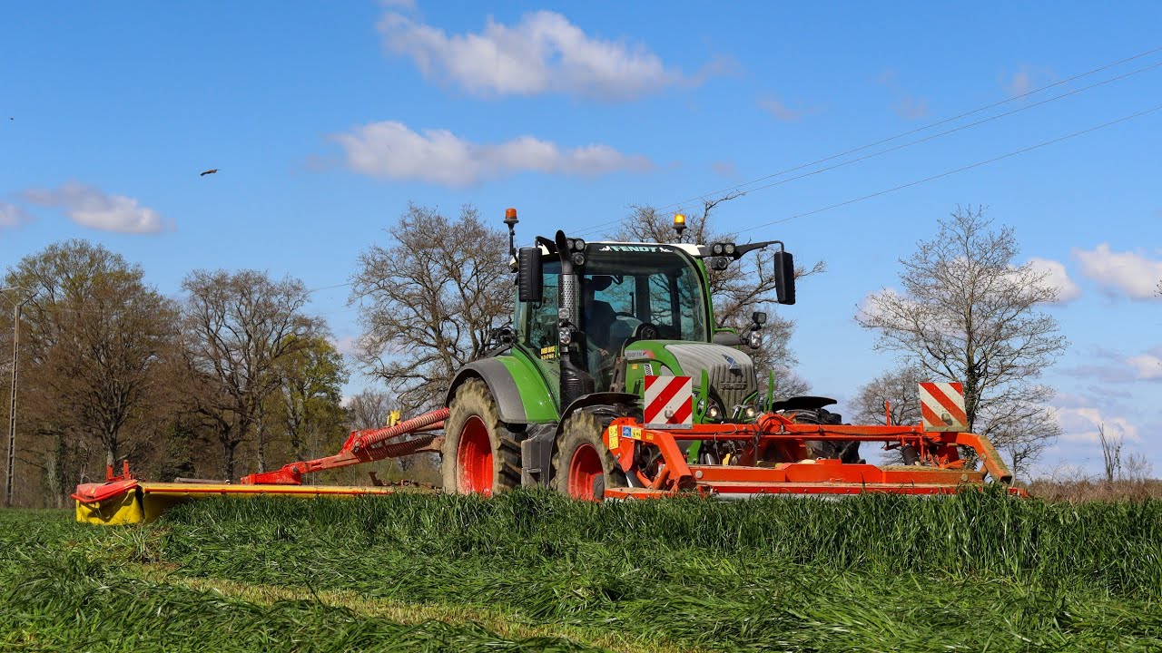 FAUCHE DES RGI 2K23 DANS LA DOMBES // FENDT 516 //