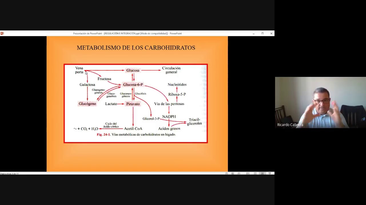 REGULACIÓN E INTEGRACIÓN METABÓLICA
