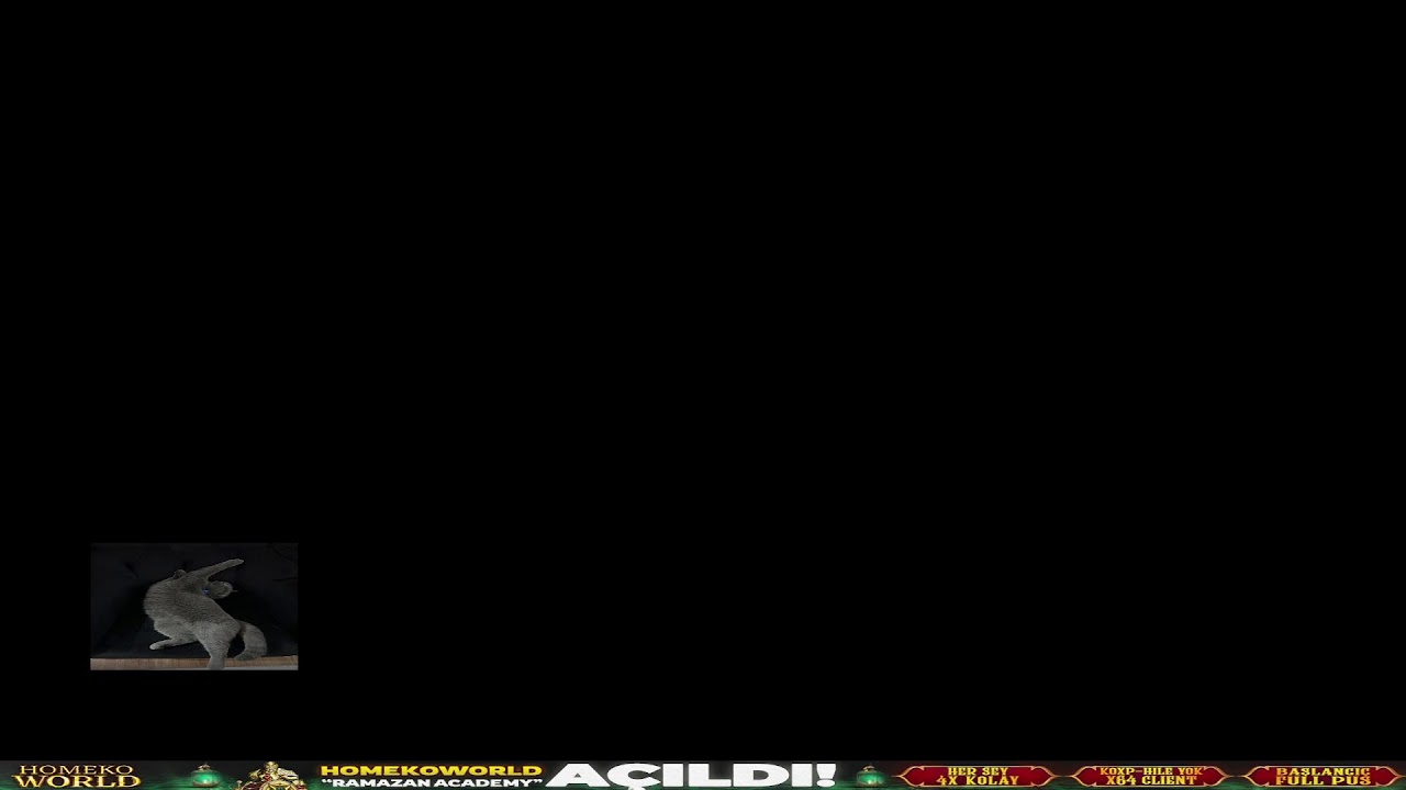 777 HARD PK XD #homekoworld