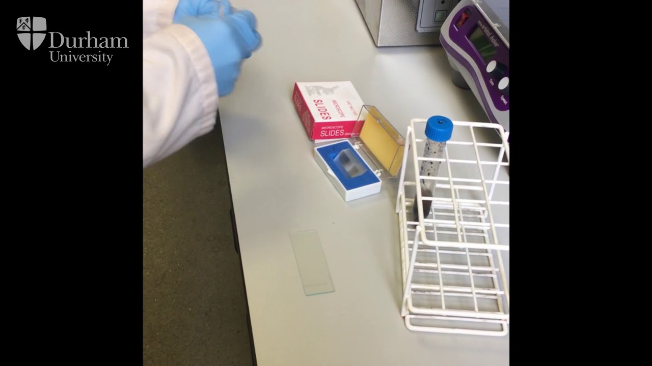 Durham University Bioarch Bites: Pollen analysis