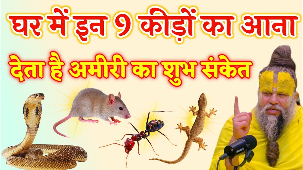 इन 9 कीड़ों का घर में आना देता है आपको अमीरी का शुभ संकेत Vastu Shastra