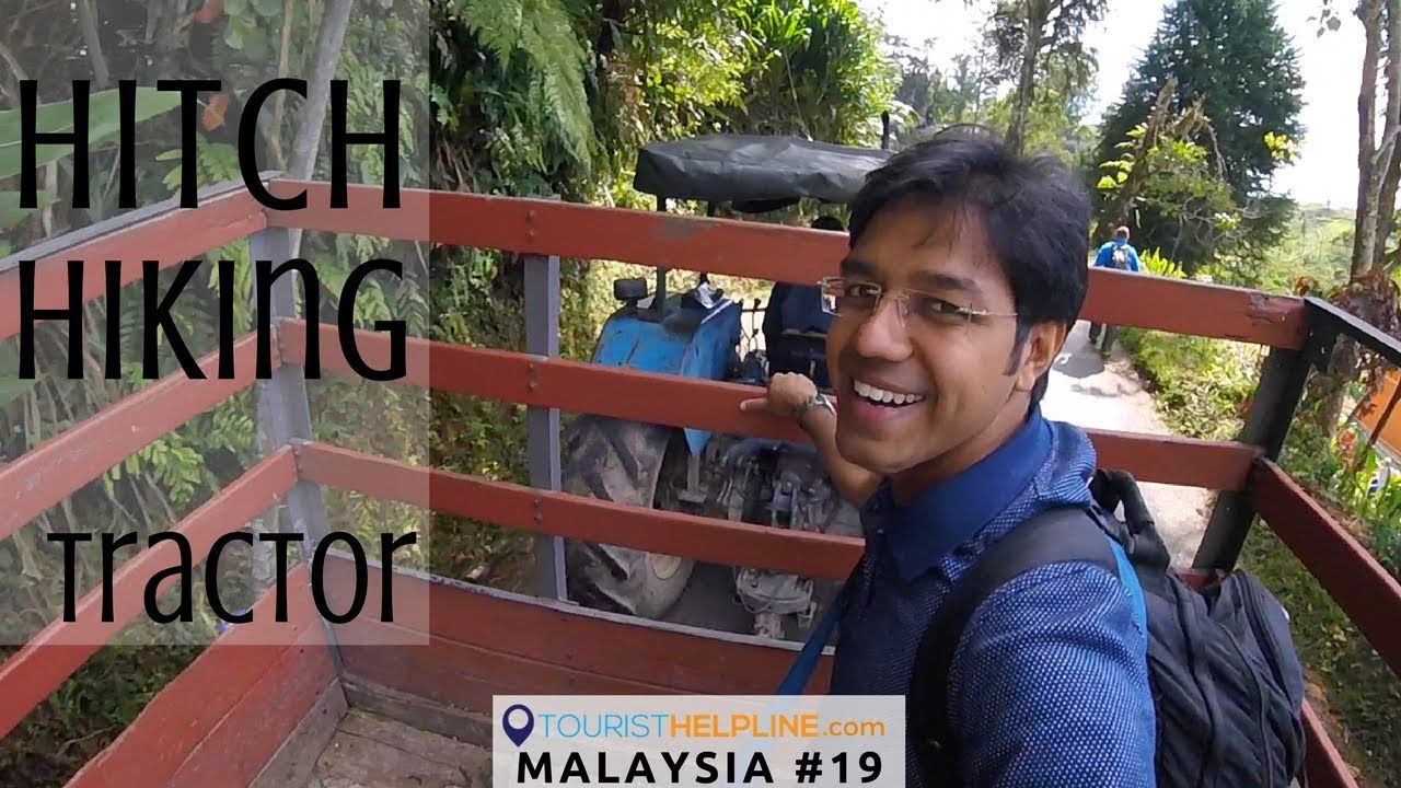 Adventure in Tea Gardens: Cameron Highlands, Munnar of Malaysia