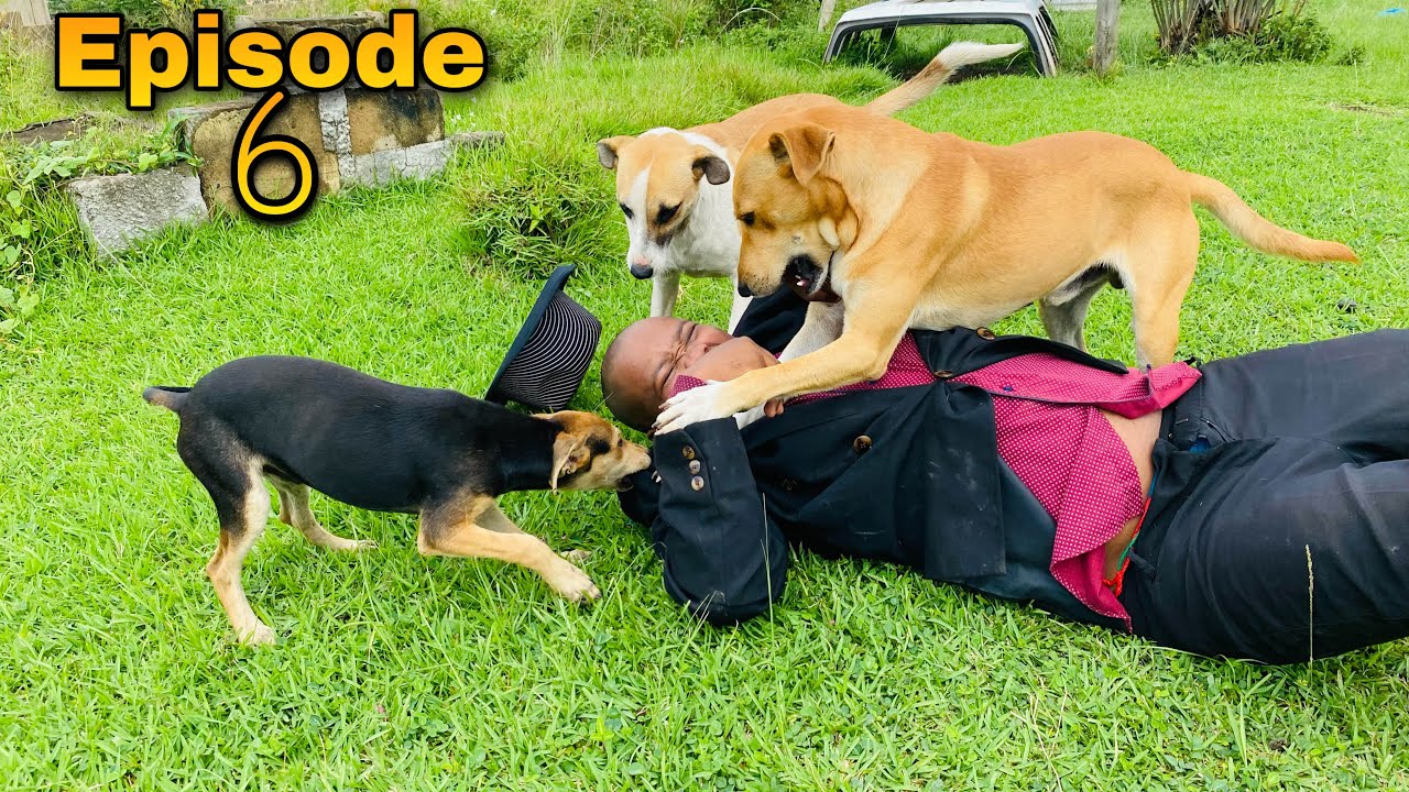 Ngcobo & Khumalo S3 - EP6 (Arrest Gone Wrong)