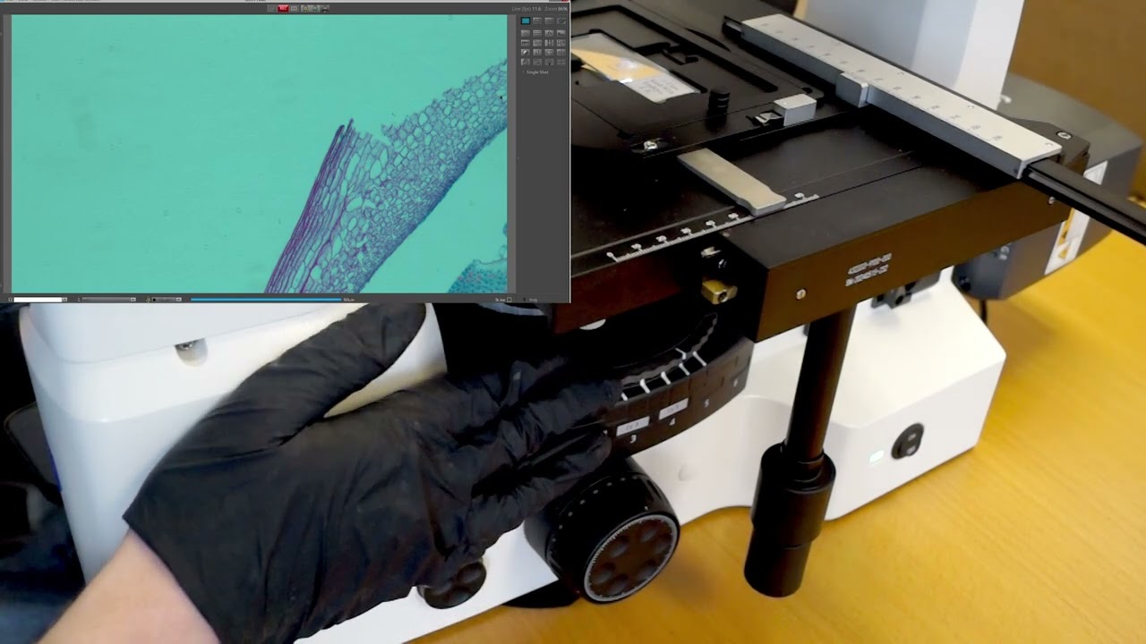 How to Use Light Manager on Zeiss Axiovert 5