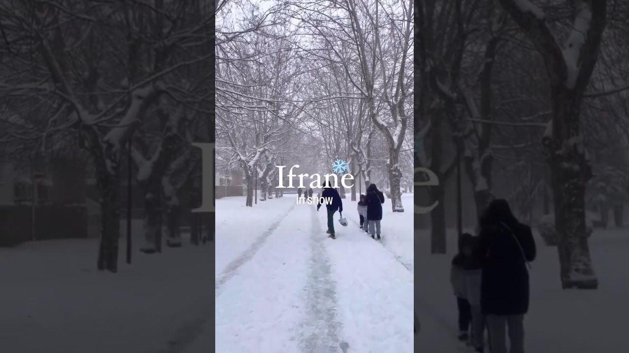 &nbsp;Snowy Ifrane 😍 did you have the chance to visit it this year? ❤️