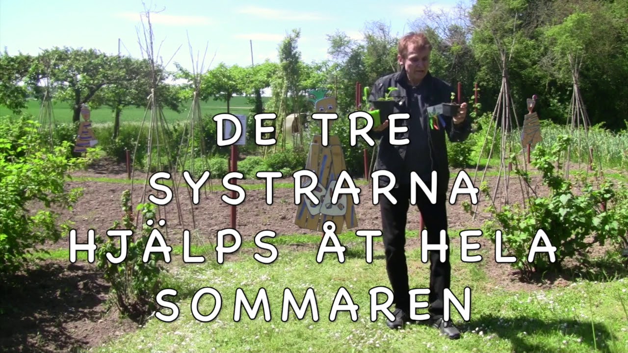 TRE SYSTRAR
