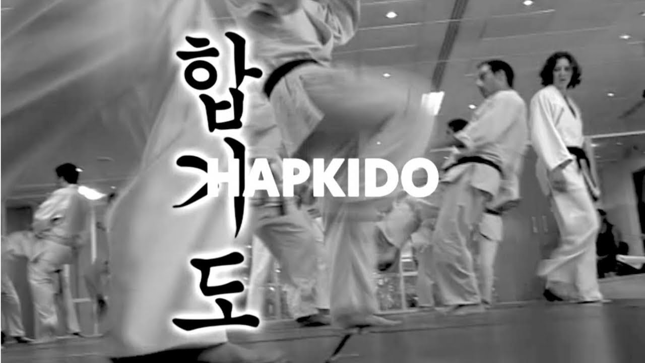 FightMasters - Hapkido