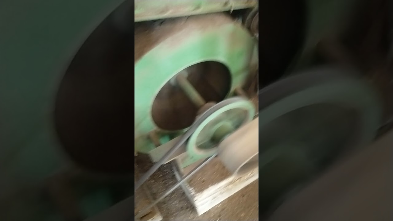 Máquina Dandrea x Palini  Produção De Café  Conilon do ES  Águia Branca