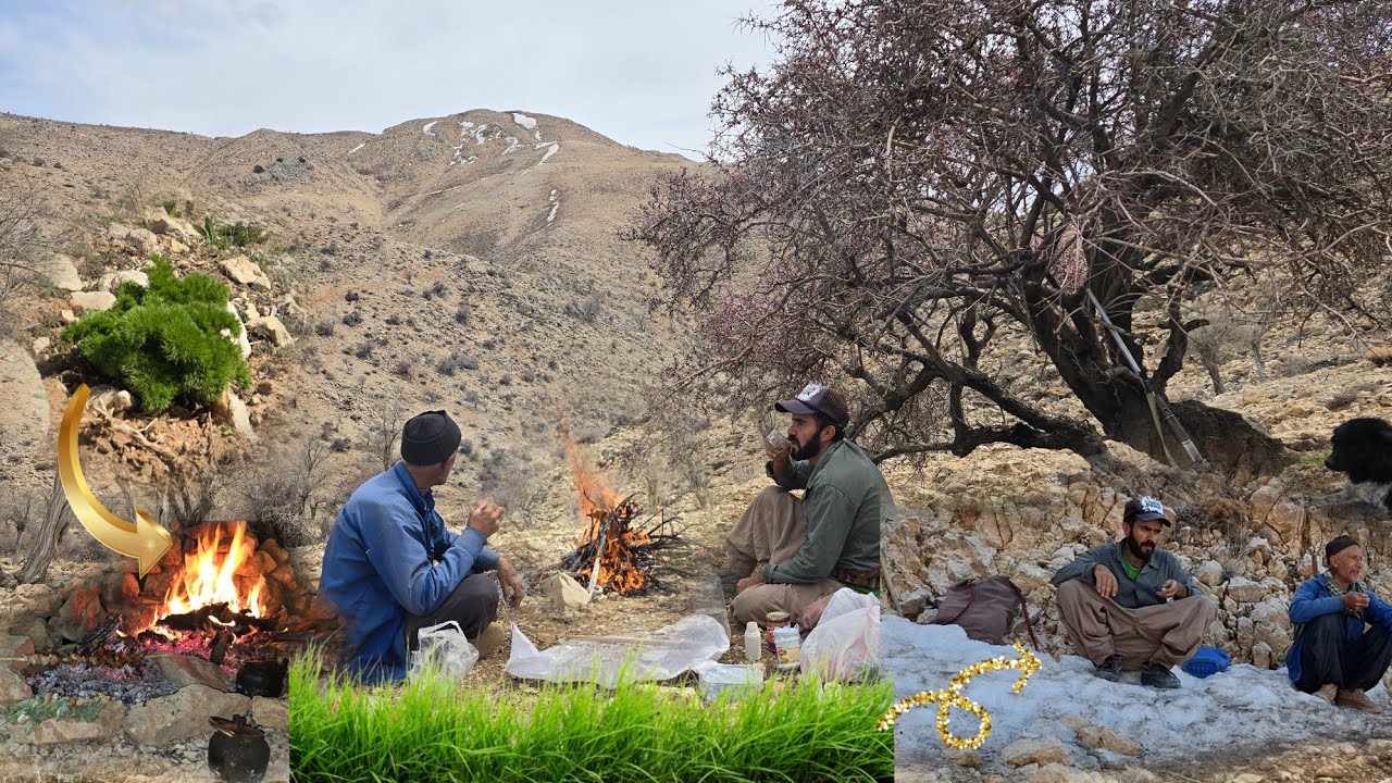 Iranian nomadic life: Ali Yas' long journey to Sardsiir to bring wild plants,