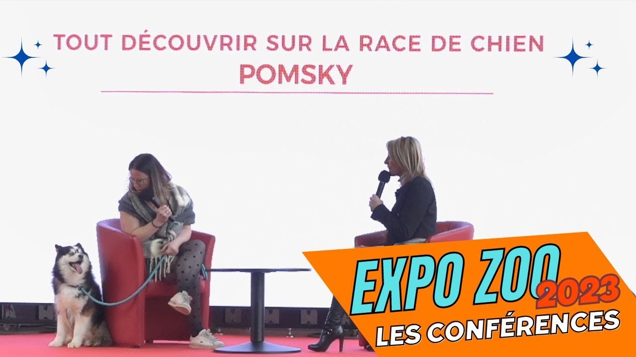 La race de chien du Pomsky - Expo Zoo 2023 (Conférences)