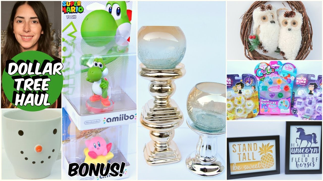 DOLLAR TREE HAUL NEW FINDS 2018 PLUS BONUS