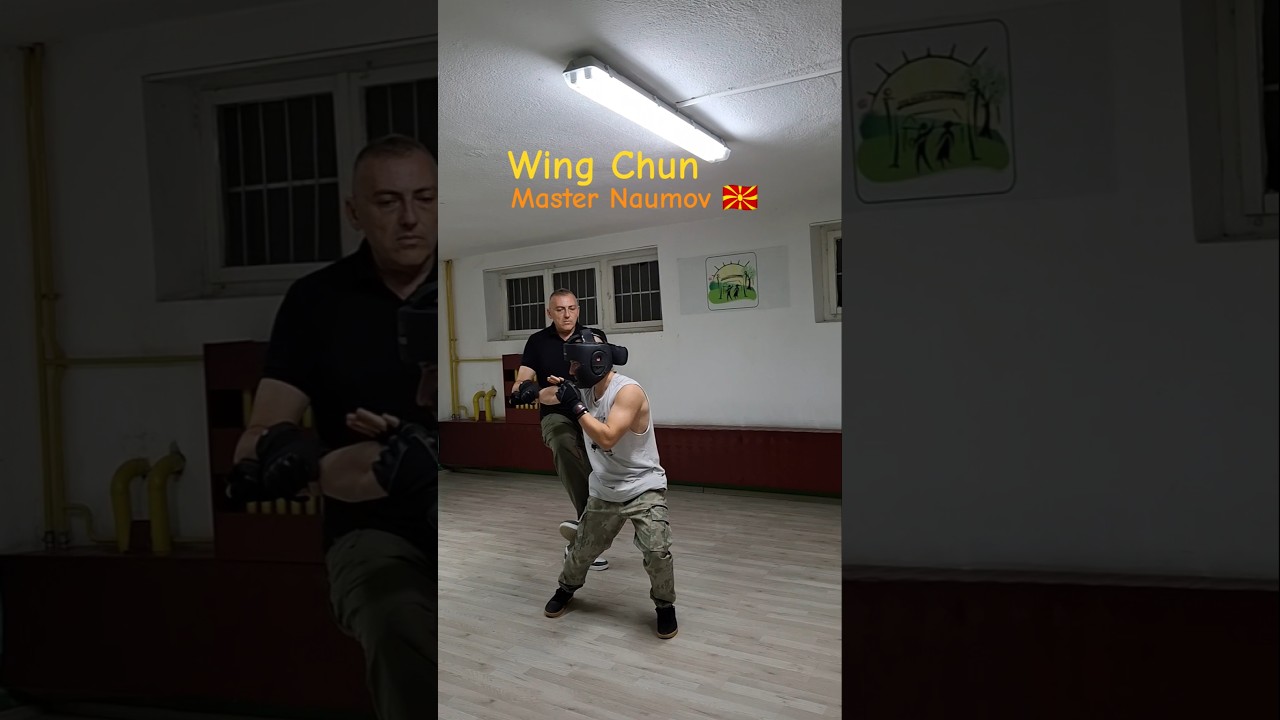 Wing Chun Self-defense reaction-Master Lazo Naumov 