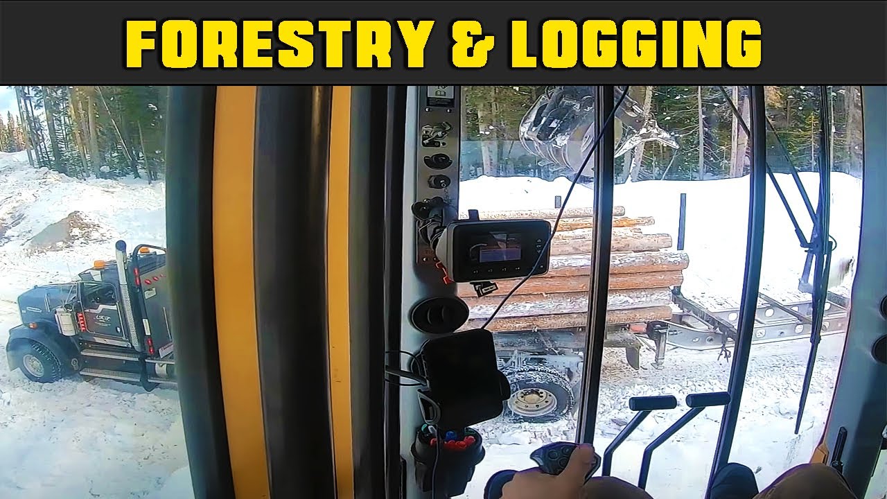 This Is A Dangerous Job Loading Log Trucks