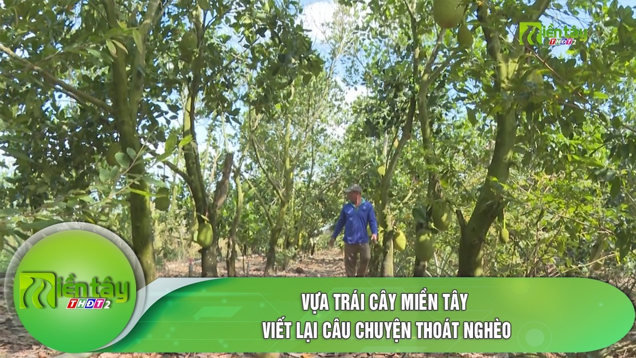 Vựa trái cây miền Tây: Viết lại câu chuyện thoát nghèo