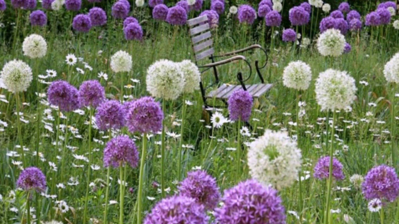 Naturnahe Gartengestaltung