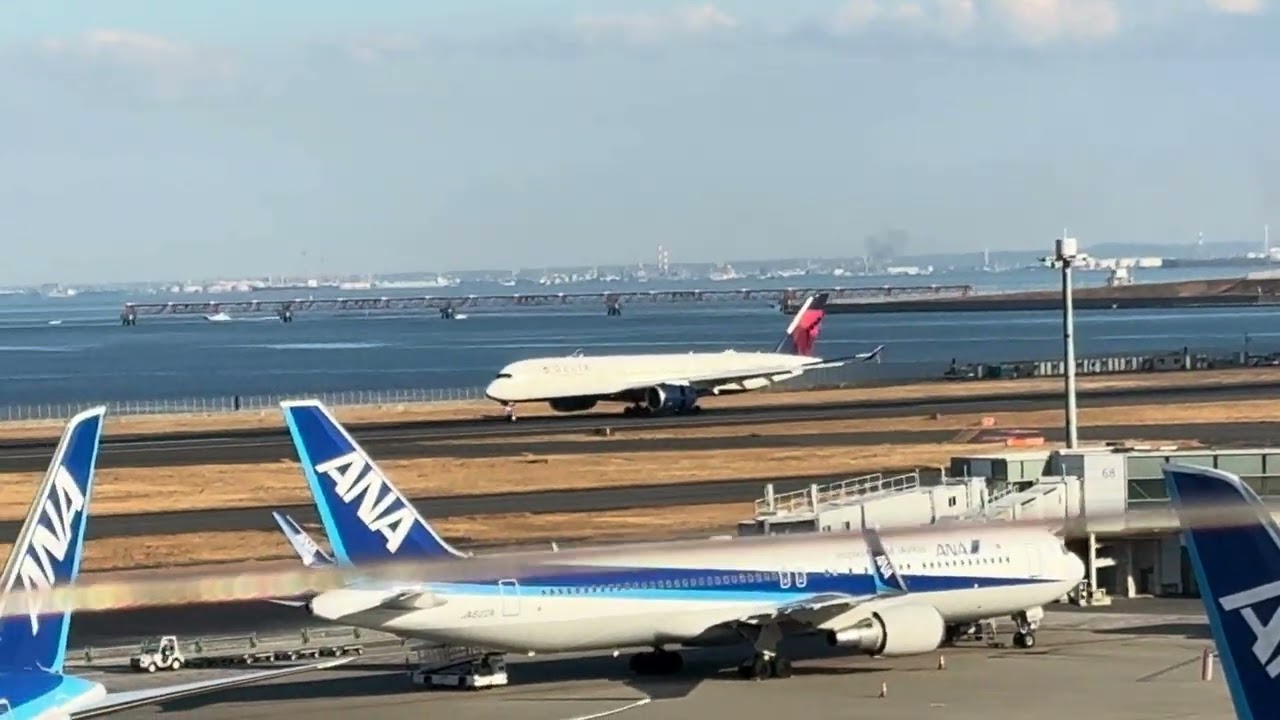 羽田空港T2散歩【デルタ航空】A350着陸2026.2.1#haneda #airplane #delta 