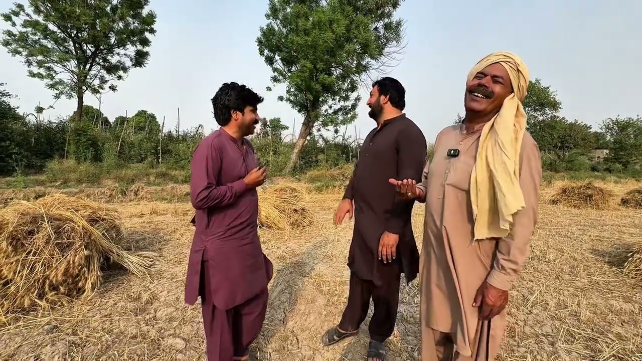 Mosam Kharab Gandam ki katai | Anjum Saroya New Vlog | Anjum Saroya New Update Video | Anjum saroya