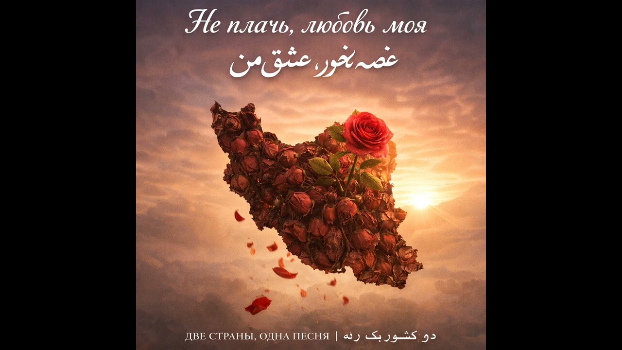 Rose Iran 🥀🥀🌹