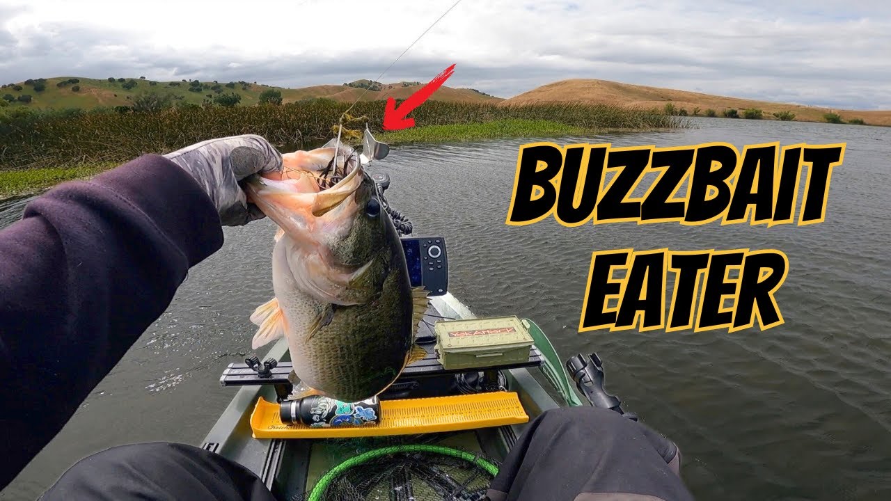 Giant Topwater Bass Saves the Day!