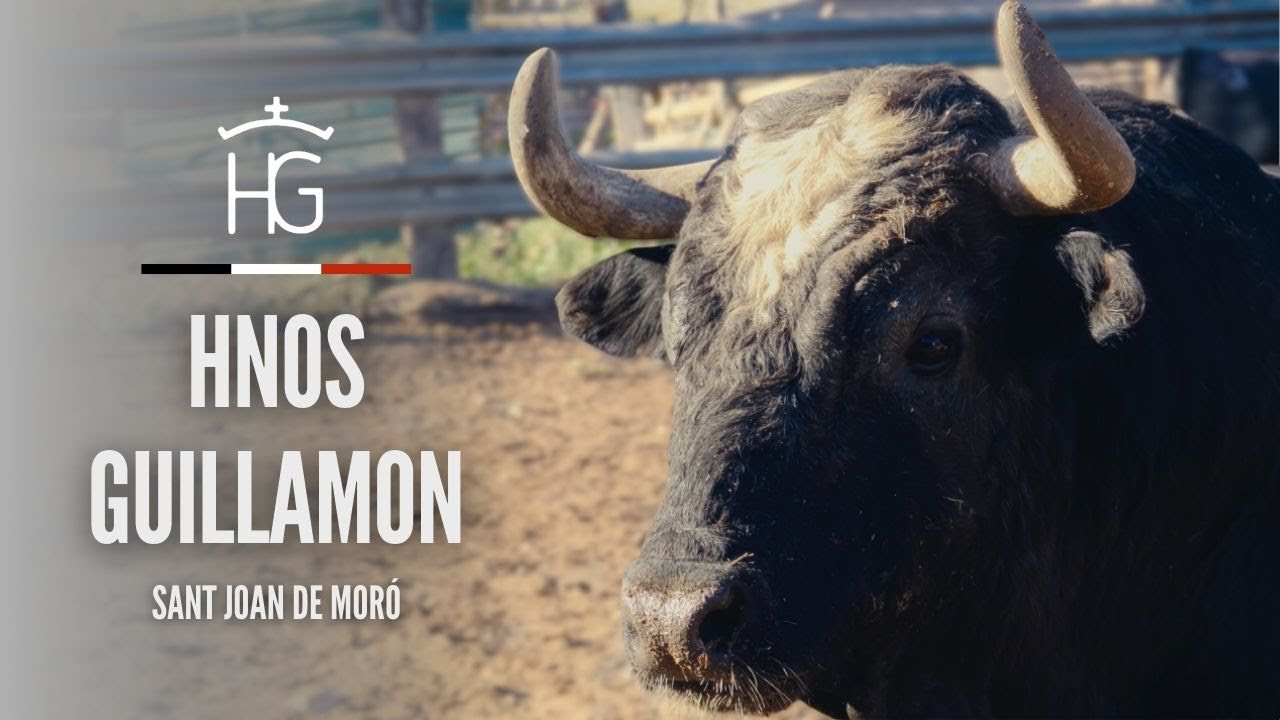VISITA A LA GANADER&Iacute;A HNOS GUILLAMON (Sant Joan de Mor&oacute;, Castell&oacute;n)