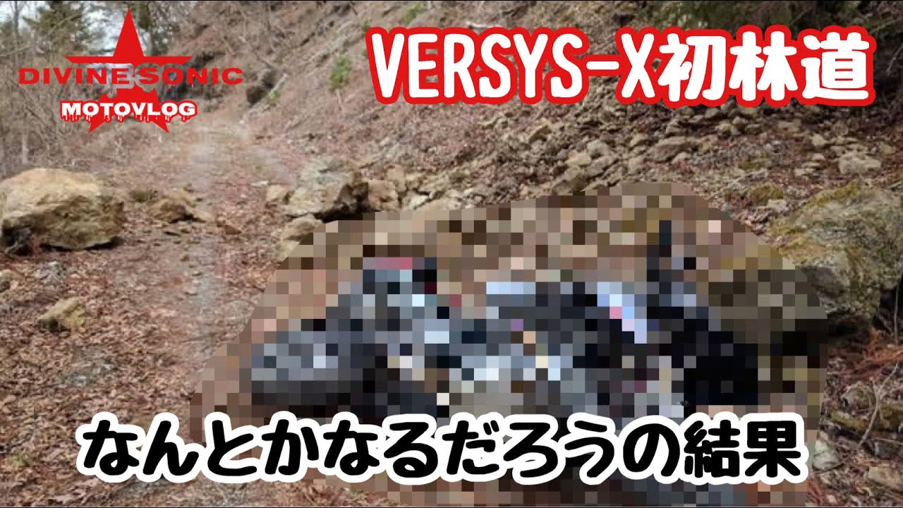 【モトブログ306】Divine Sonic #VERSYS250 TOURERで初の林道チャレンジは・・・・