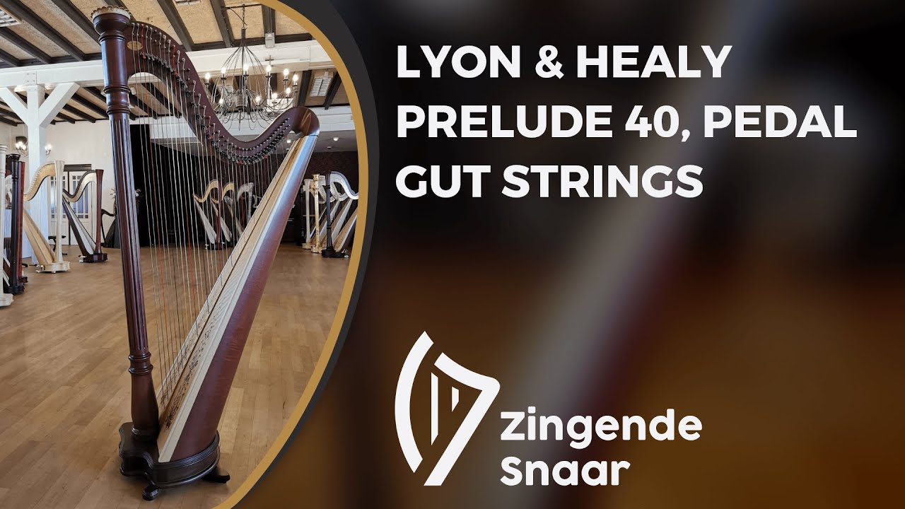 Lyon & Healy Prelude 40, pedal gut strings