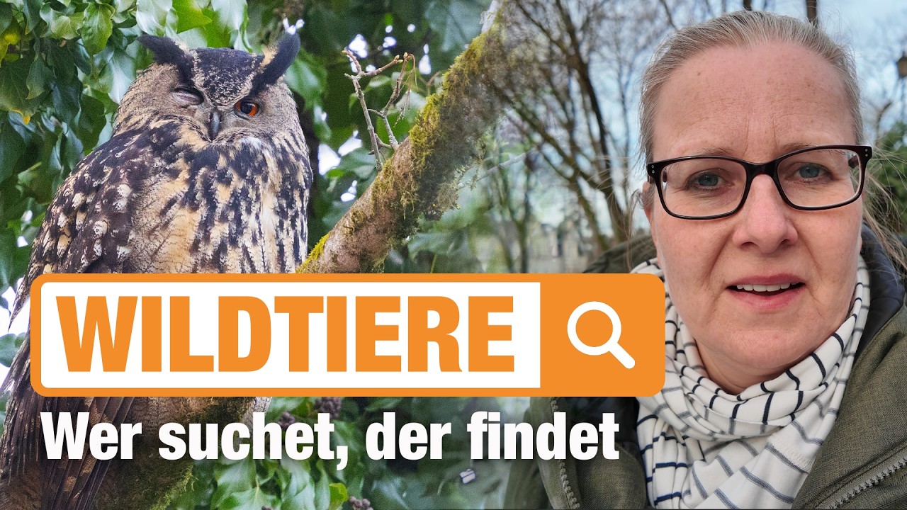Wildtiere suchen und finden - Meine Vorgehensweise und Tipps zur Recherche mit konkreten Beispielen