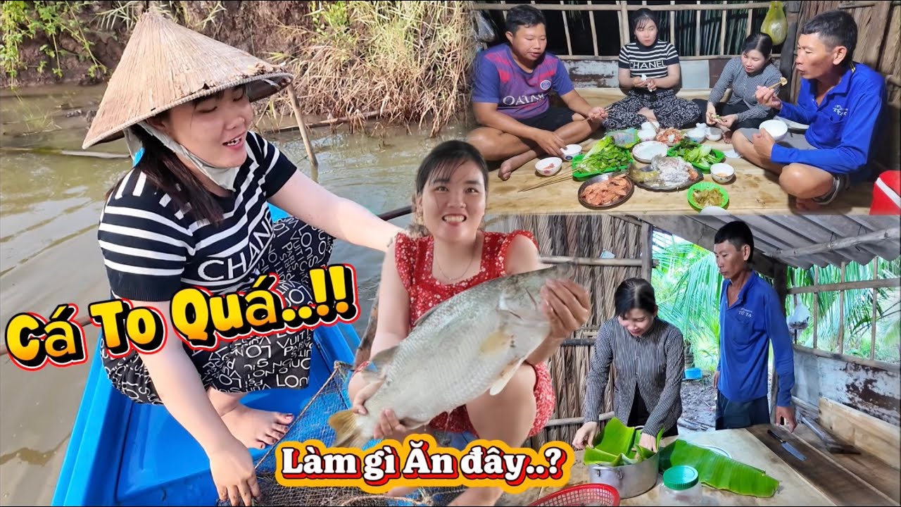 Bắt Được Cá Chẽm To Để Rang Muối Và Tôm Luột Cuốn Bánh Tráng Ăn Cùng Cha Mẹ Vợ….