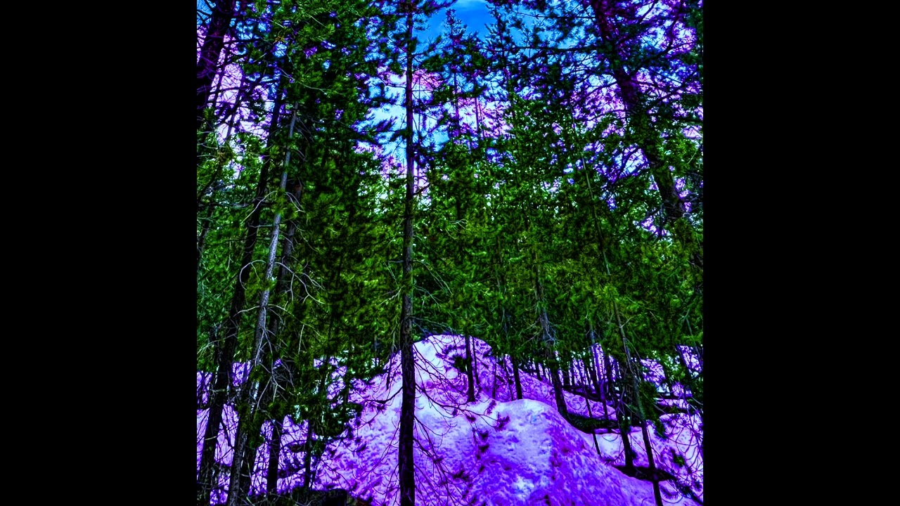 *free* pluggnb x lil shine x summrs type beat prod.brenn4n "purple snow" 138bpm