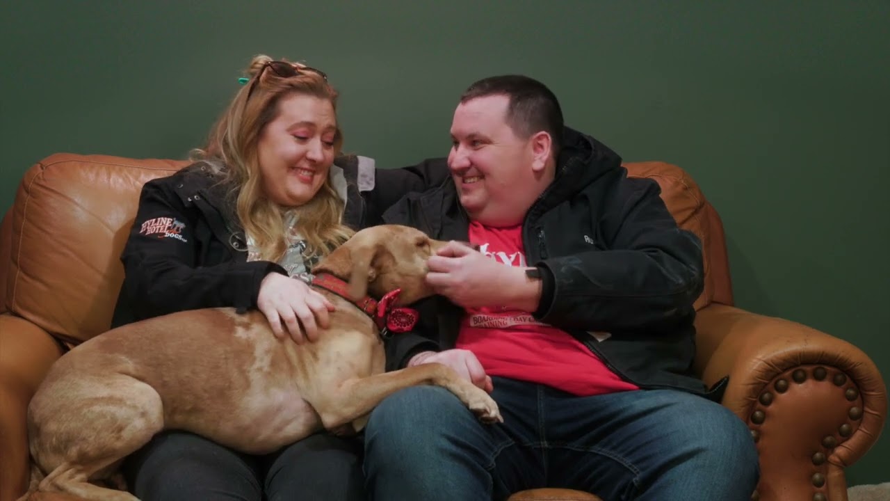 Paw Partner   Introduction