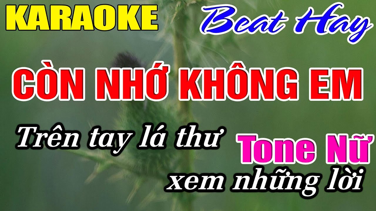 Còn Nhớ Không Em Karaoke Tone Nữ Karaoke Hải Nhạc Sống - Beat Mới