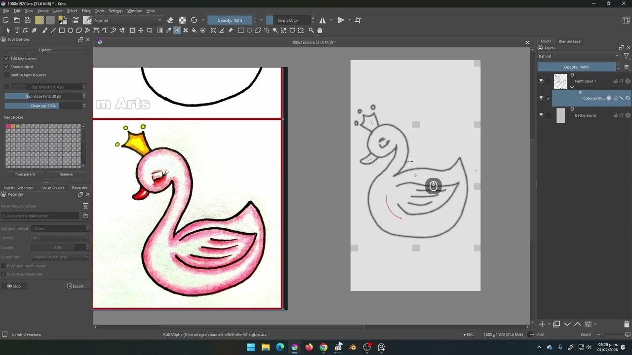 Cisne Rosa proceso completo