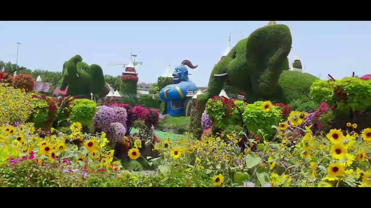 Dubai Miracle Garden. #dubaimiraclegarden