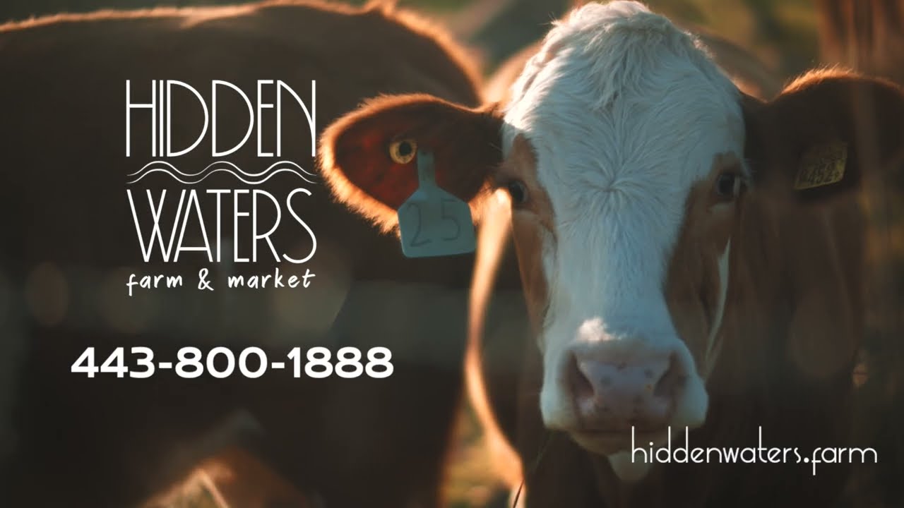 Fresh Meats Every Month, Now Delivered In Columbia - Hidden Waters Farm Subscription Boxes