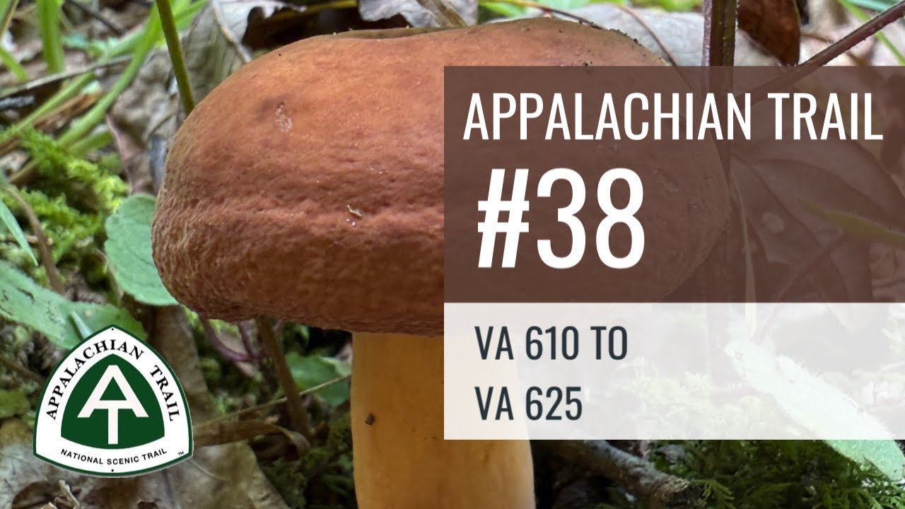 Appalachian Trail #38: VA 610 to VA 625