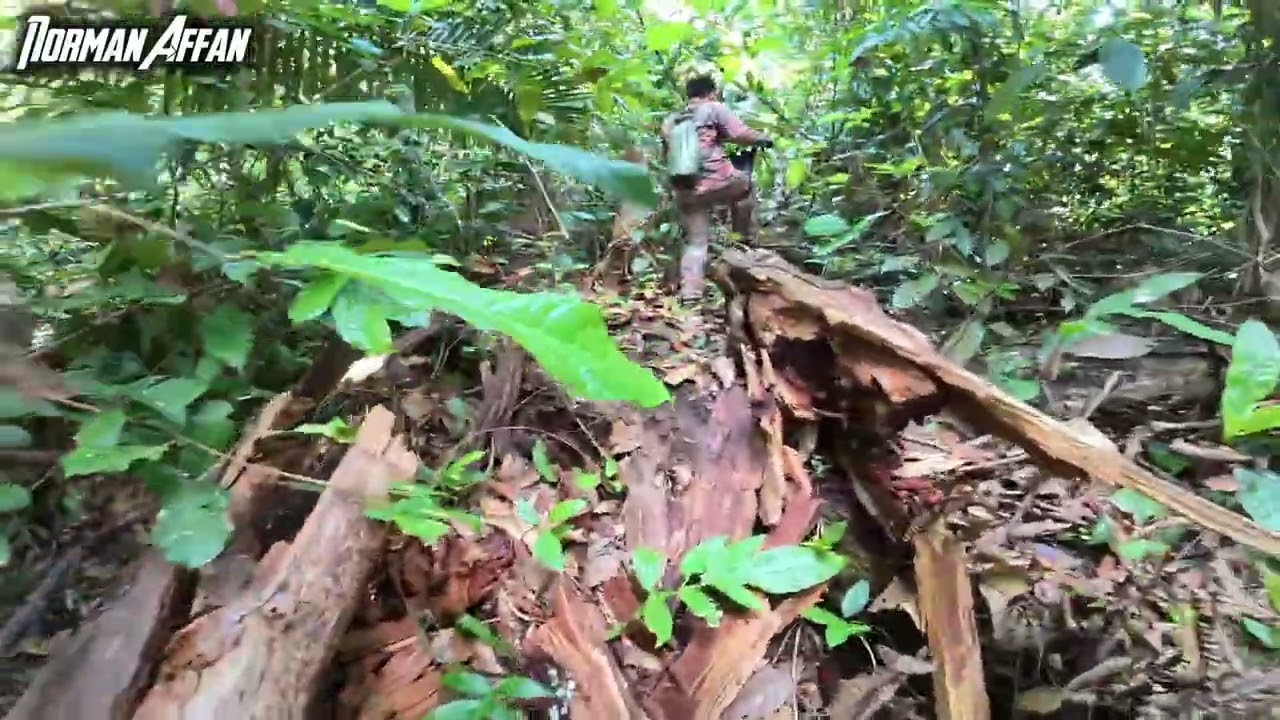 SEARCH AND RESCUE ORANG HILANG - PART 1