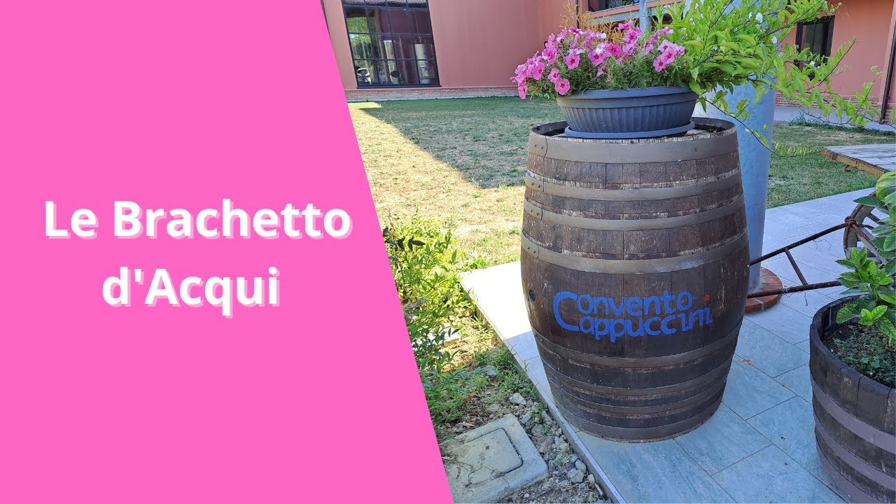 Brachetto d'Acqui La Douce Surprise dans le Monde du Vin !