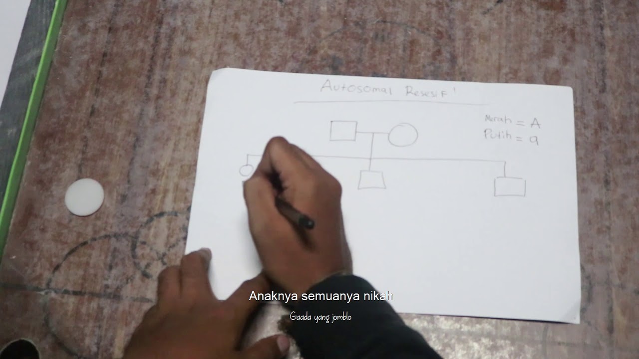Radya Saifa Syahma I Analisis Pedigree 