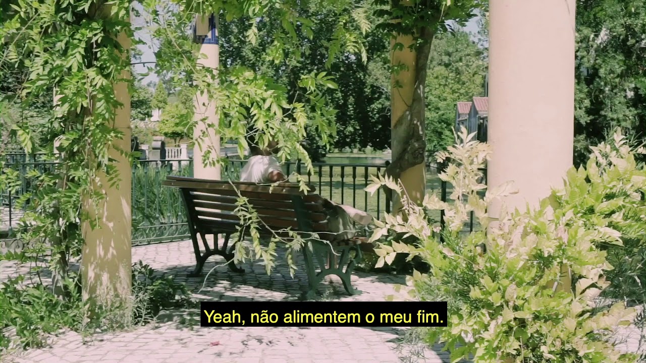 B'ta F — Passadista de um Jardim
