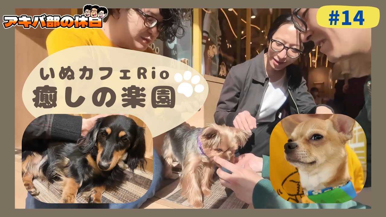 【秋葉原】子犬にメロメロ！アキバ唯一の犬カフェが癒しの楽園すぎた…！