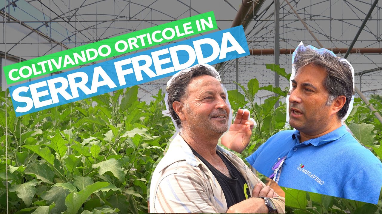 COLTIVARE in una SERRA FREDDA - ORTICOLTURA